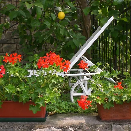 Piccolo Апартаменты